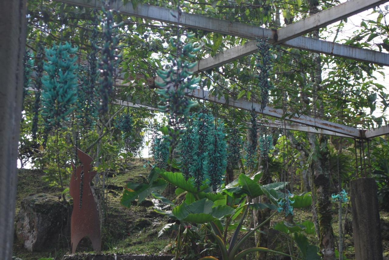 Finca Jardín del Agua Sasaima Exterior foto